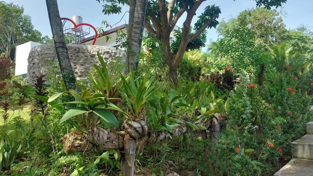 Matteo'S Hus Villa Rental Zamboanguita  Esterno foto